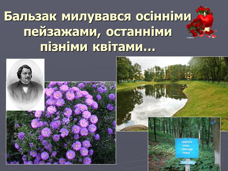 Бальзак милувався осінніми пейзажами, останніми пізніми квітами…